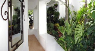Surrouded by tropical plants